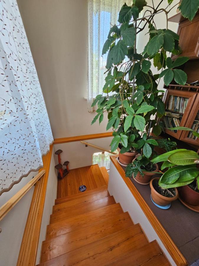 Tamari Guest House Telavi Exterior photo