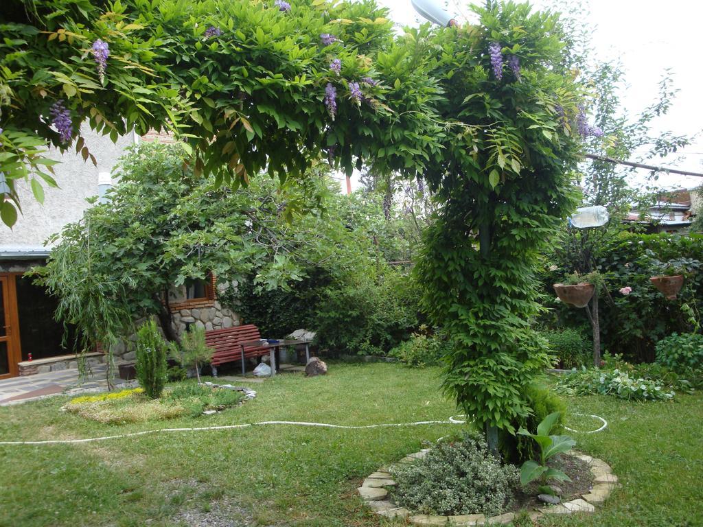Tamari Guest House Telavi Exterior photo