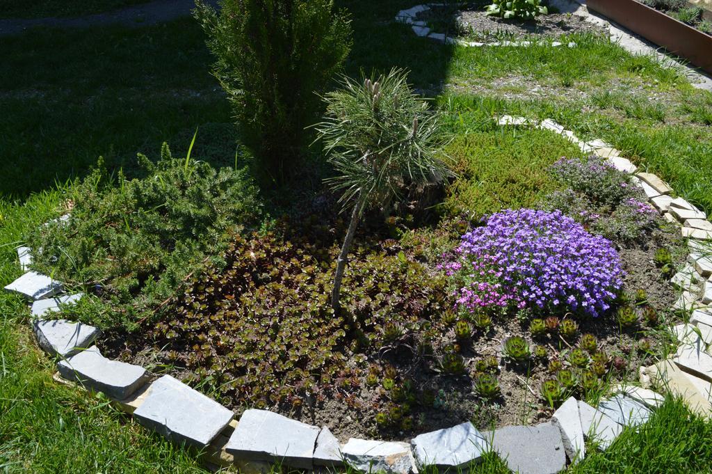 Tamari Guest House Telavi Exterior photo