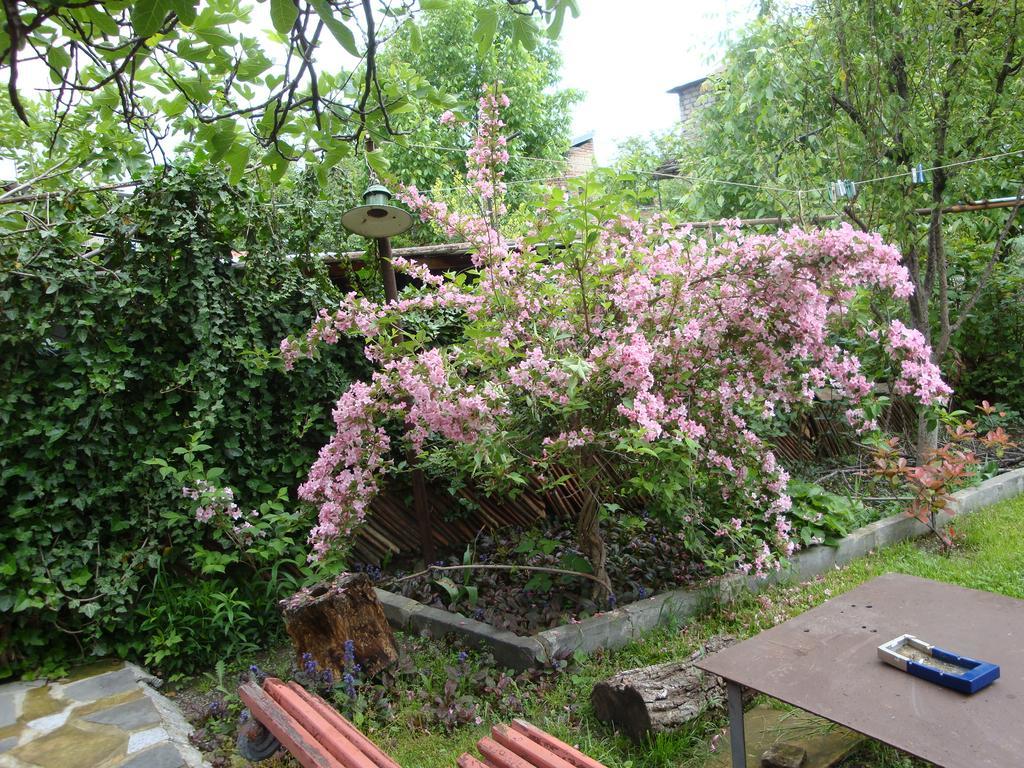 Tamari Guest House Telavi Exterior photo