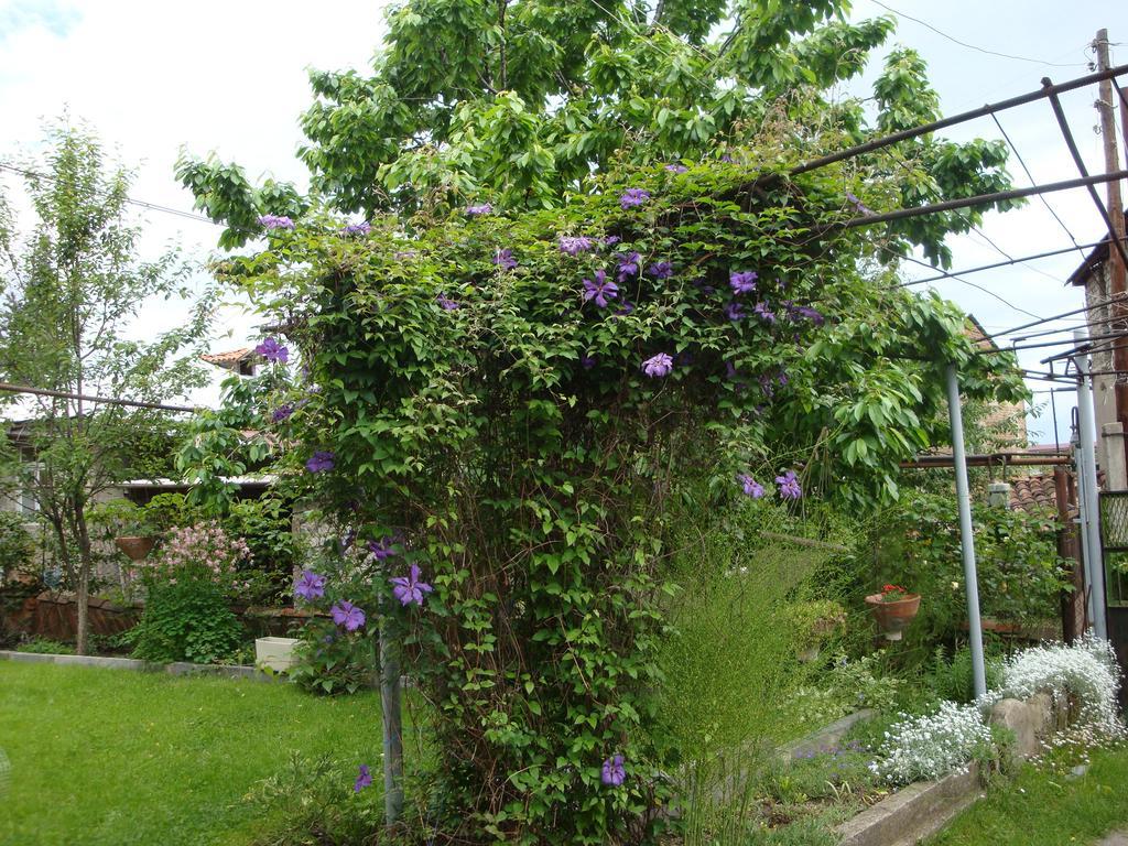 Tamari Guest House Telavi Exterior photo